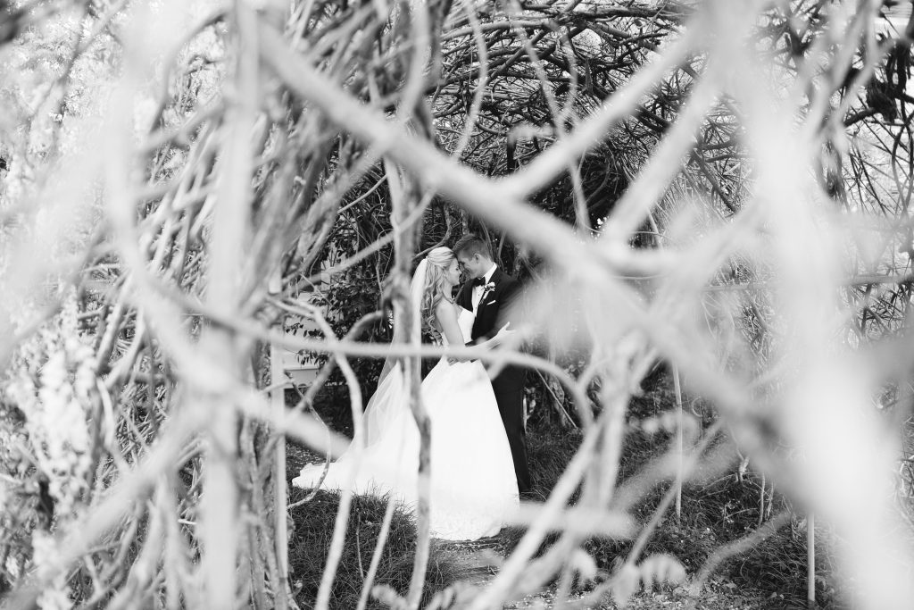 Wedding Reception Pebble Hill Plantation