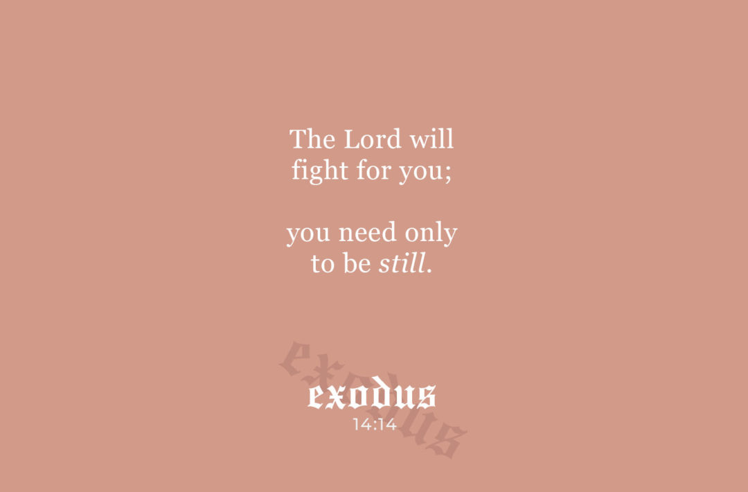 exodus 13