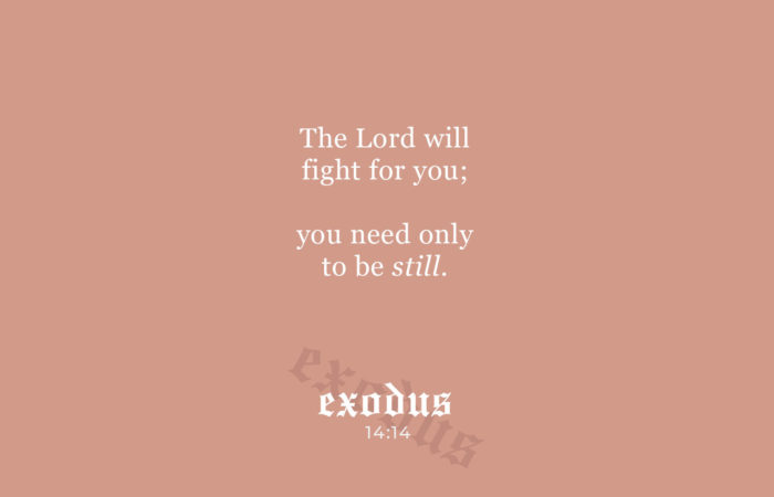 exodus 13