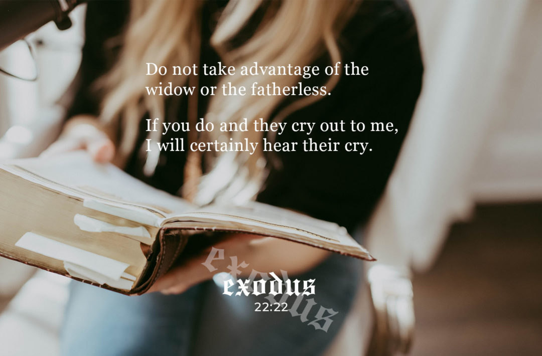 exodus 23