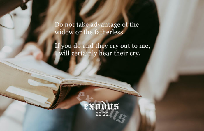 exodus 23