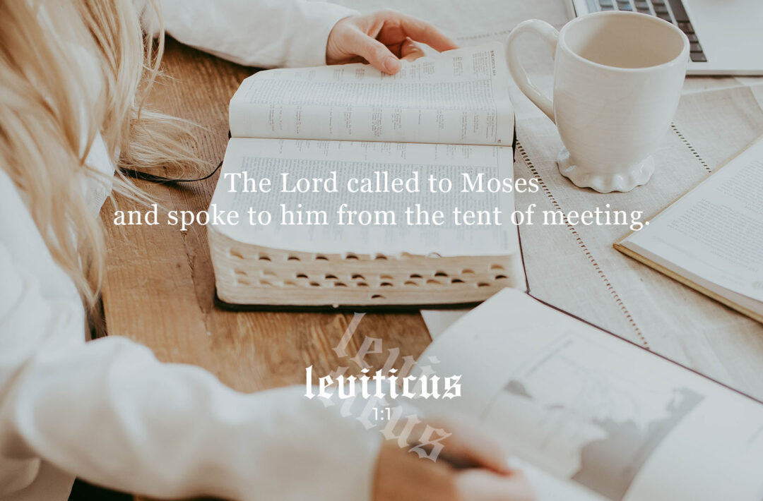 leviticus 1