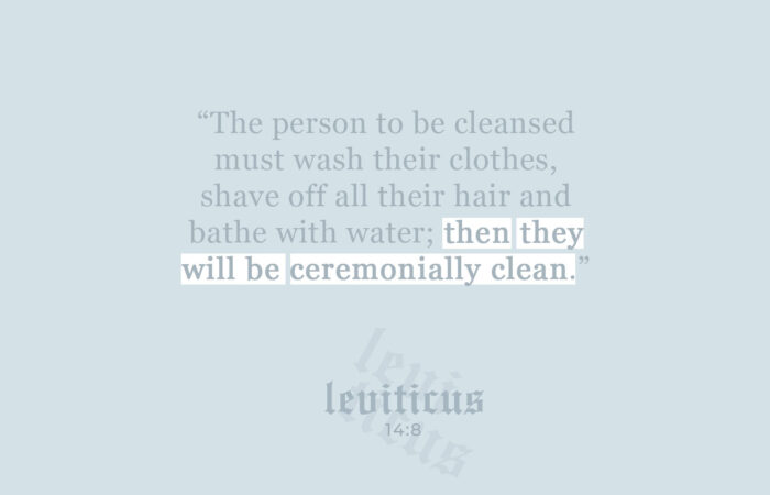 leviticus 12