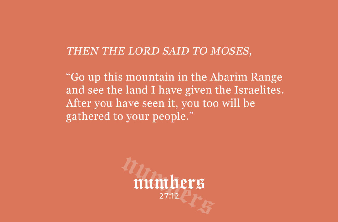 そして僕らは、…and he said all about My Sister Took My Fiancé and Now I'm Being Courted by a