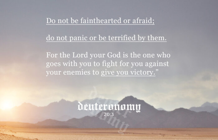 deuteronomy 19