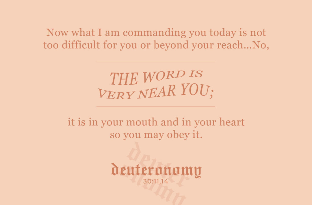 deuteronomy 29