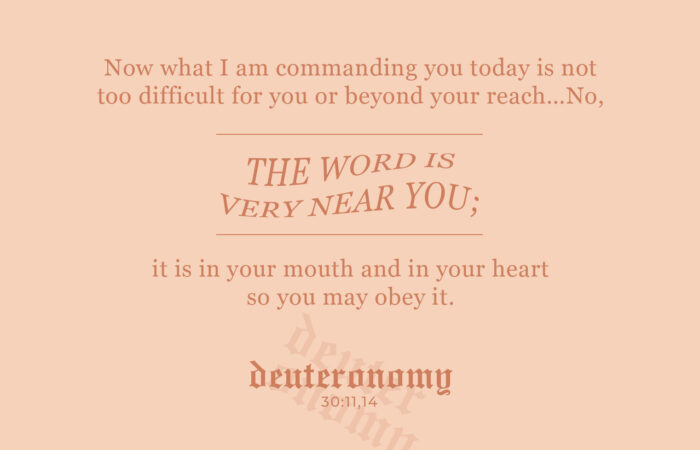deuteronomy 29
