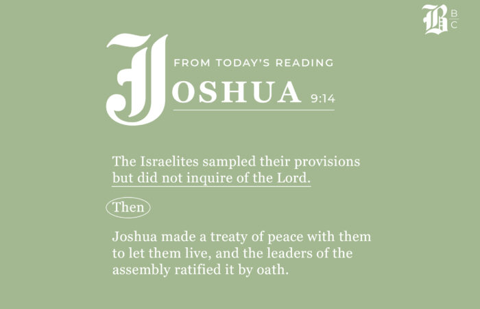 joshua 8