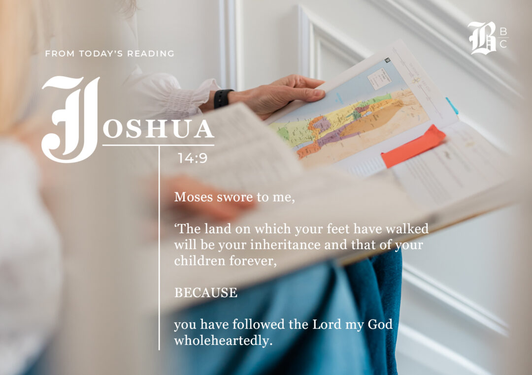 Joshua 14:9