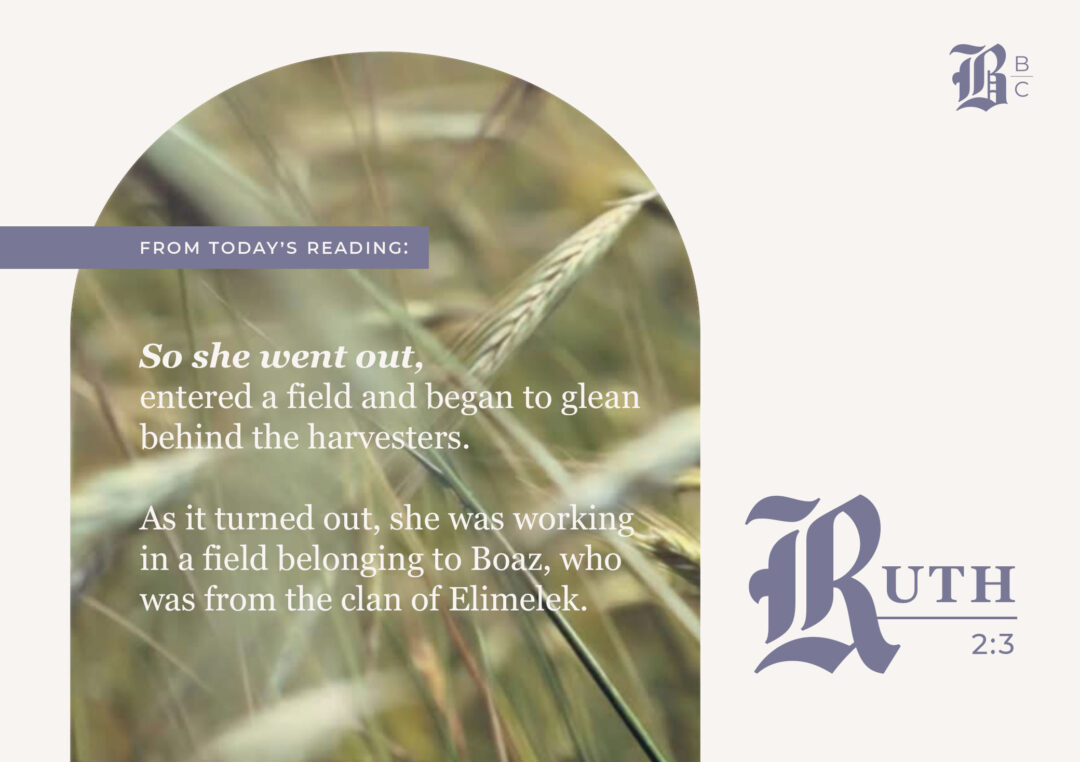 Ruth 2:3
