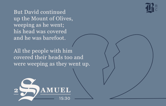 2 Samuel 15:30