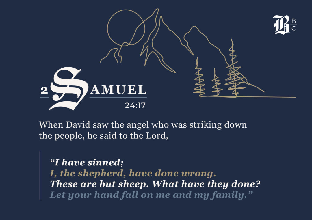 2 Samuel 24:17