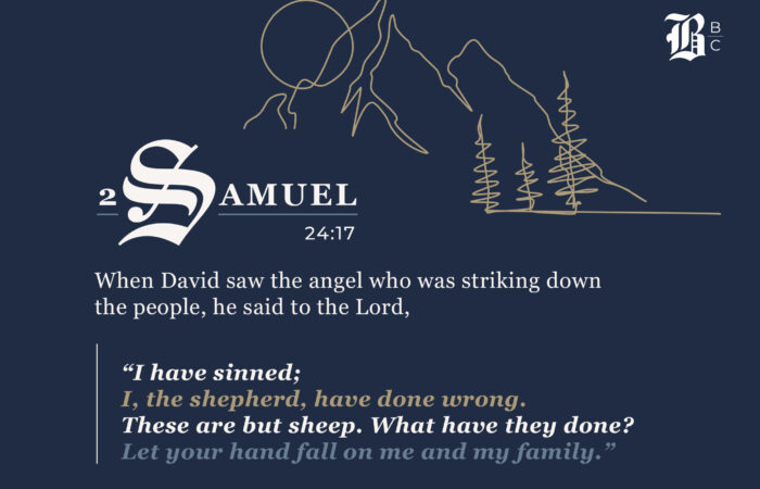 2 Samuel 24:17