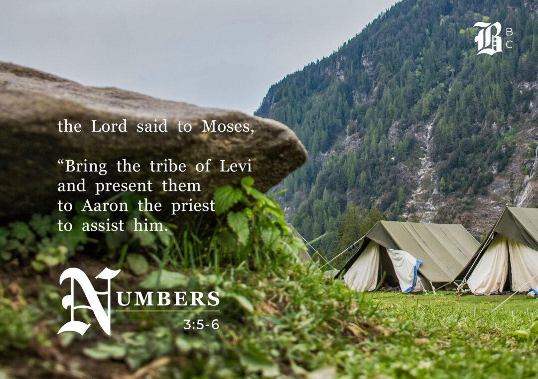 In this episode of the Bible Book Club, we review 1 Chronicles 6.