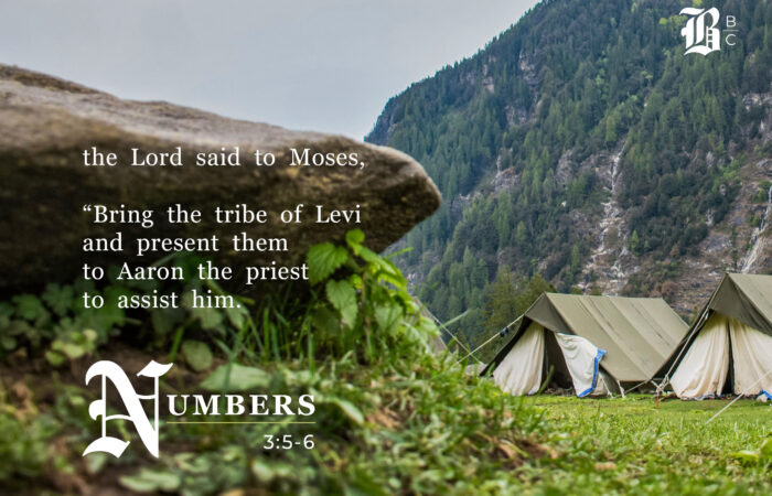 In this episode of the Bible Book Club, we review 1 Chronicles 6.