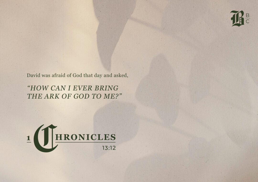 1 Chronicles 13