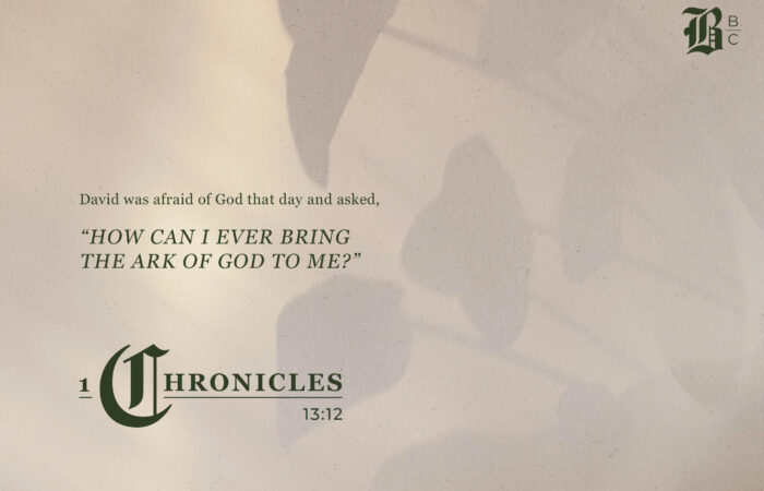 1 Chronicles 13