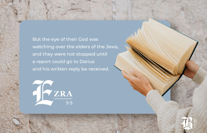 In this Bible Book Club article, we discuss Ezra 5-6.