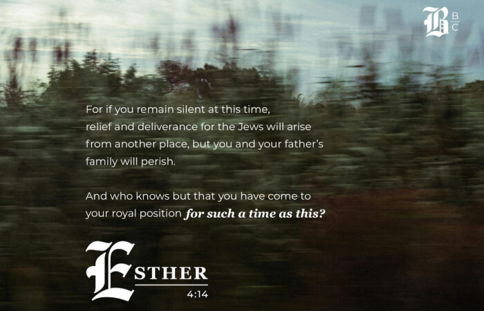 Esther 4:14 quote on moody landscape — Mordecai's "for such a time as this" challenge to Queen Esther