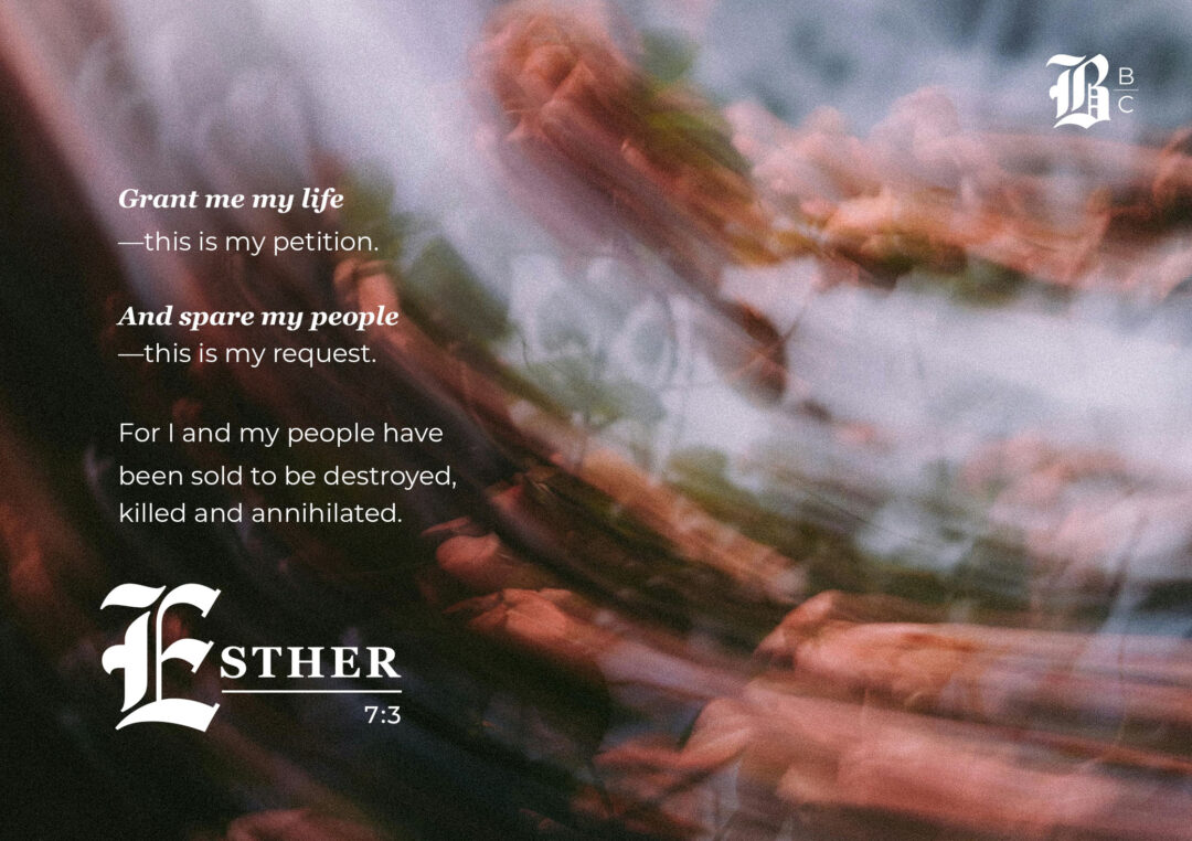 Esther 6 commentary graphic: Esther 7:3 quote, "Grant me my life, and spare my people."