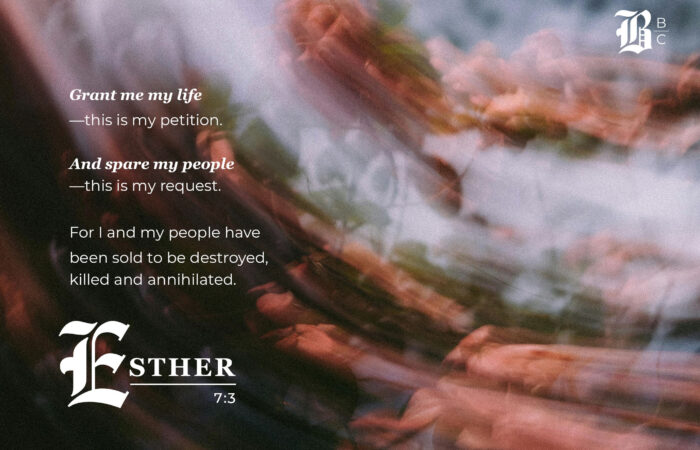 Esther 6 commentary graphic: Esther 7:3 quote, "Grant me my life, and spare my people."