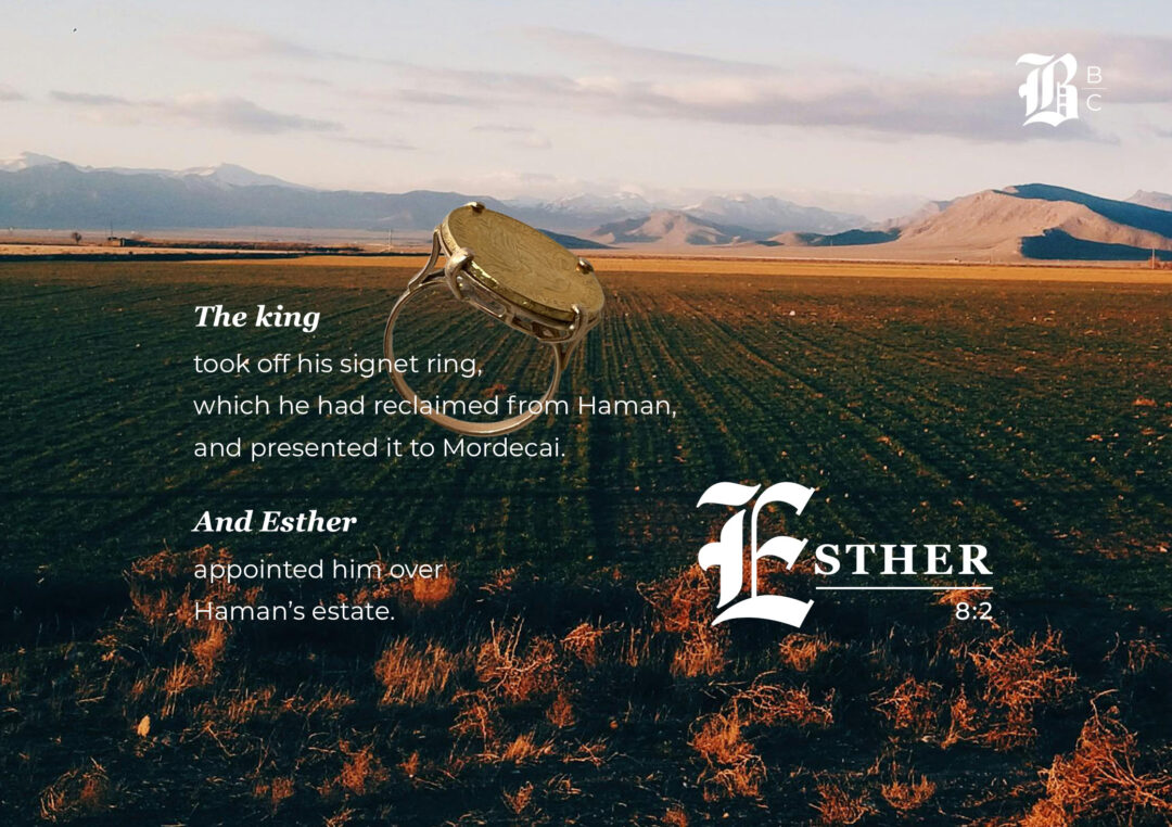 Mordecai receives the king's signet ring from Esther 8:2 — Bible Book Club Esther 8 commentary