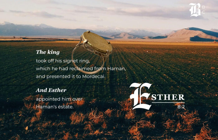 Mordecai receives the king's signet ring from Esther 8:2 — Bible Book Club Esther 8 commentary
